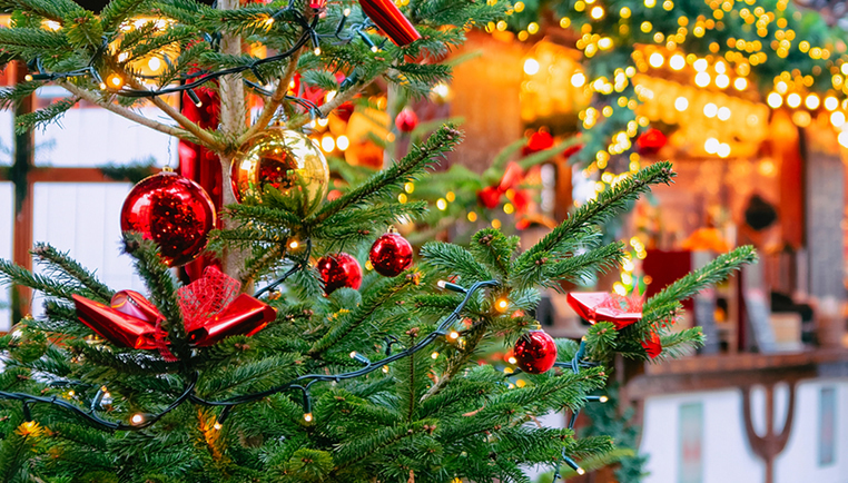 Marché de Noël au parc